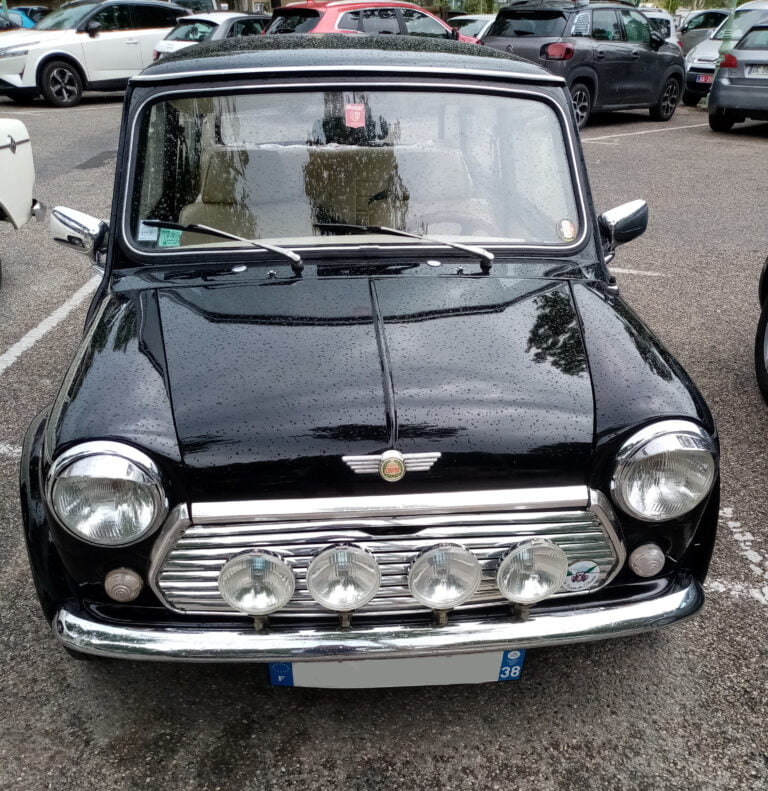 Mini Annick 1